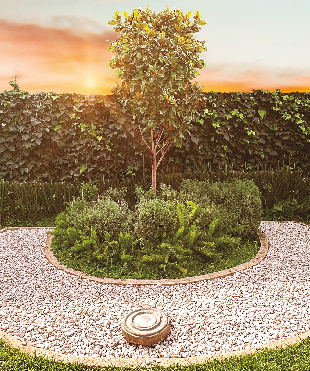 Servicios para mascotas