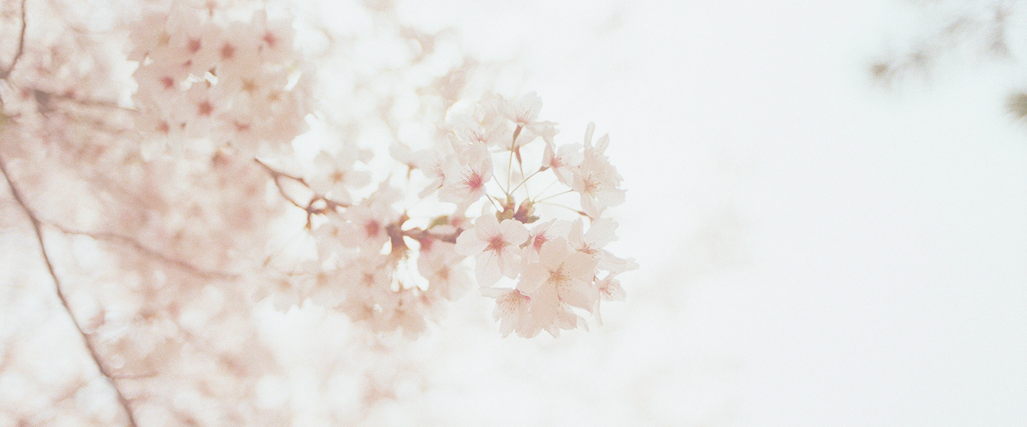 ¿Que hacer en un caso de Necesidad Inmediata?